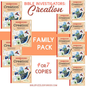 Bible Investigators: Creation | Family Pack