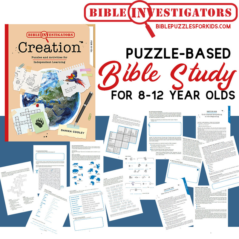 Bible Activity Book (Ages 8-12 years)