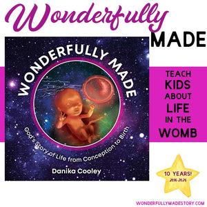 Wonderfully Made: God's Story of Life from Conception to Birth